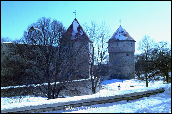 Tallinn Castle