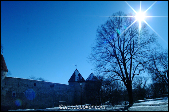 Tallinn Castle