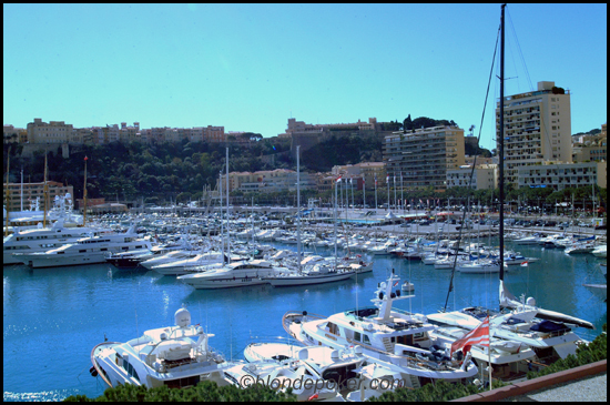 Millionaires' Harbour