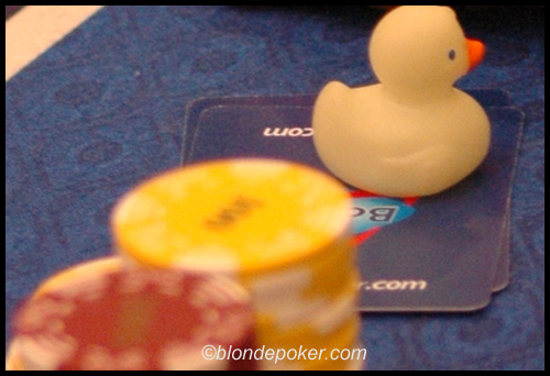 Kevin's Rubber Ducky