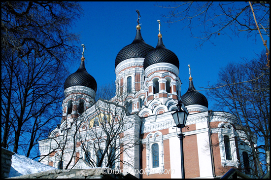 Tallin Dome Cathedrial