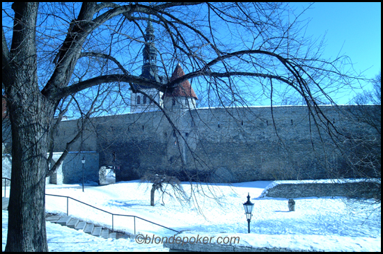 Tallinn Castle